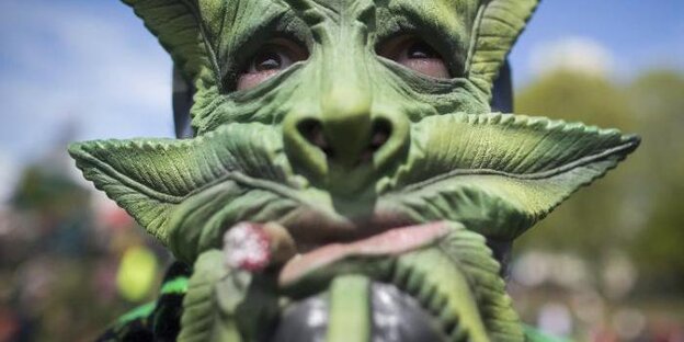 Ein Mann trägt am Sunset Beach zum Welt-Kiffer-Tag «420» eine Maske, die ein Marihuana-Blatt darstellen soll. Ein Mann trägt am Sunset Beach zum Welt-Kiffer-Tag «420» eine Maske, die ein Marihuana-Blatt darstellen soll.