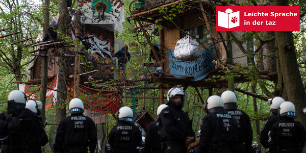 Polizisten stehen vor zwei Baumhäusern im Hambacher Forst Polizisten stehen vor zwei Baumhäusern im Hambacher Forst