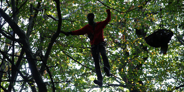 Eine Person steht auf einem Seil hoch in einem Baum Eine Person steht auf einem Seil hoch in einem Baum