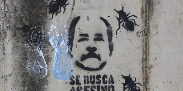 Ein Graffiti, es zeigt den Kopf eines Mannes, drumherum Insekten Ein Graffiti, es zeigt den Kopf eines Mannes, drumherum Insekten