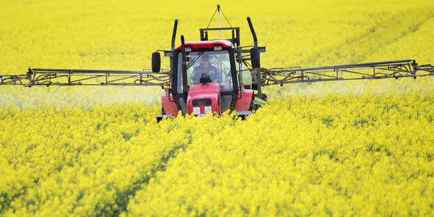 Ein Traktor fährt durch ein Rapsfeld