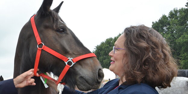 eine Frau und ein Pferd gucken sich an eine Frau und ein Pferd gucken sich an