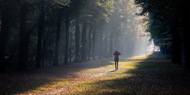 Eine sonnenbeschienene Baumallee im Berliner Tiergarten. In der Mitte läuft eine Person