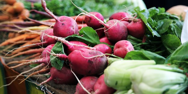 Radieschen, Karotten und Pak Choi liegen nebeneinander auf einer Gemüseauslage Radieschen, Karotten und Pak Choi liegen nebeneinander auf einer Gemüseauslage