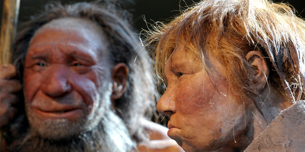 Nachbildungen von Neandertalern Nachbildungen von Neandertalern