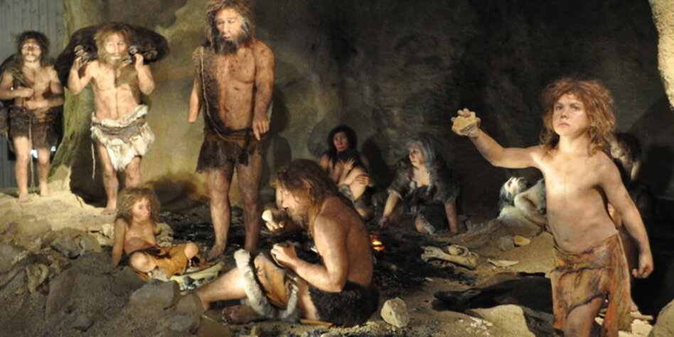 Der Neandertaler In Uns Der Neandertaler In Uns