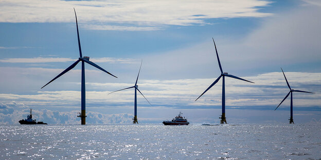 In einem Meer stehen Windräder In einem Meer stehen Windräder