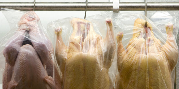 Drei Hähnchen hängen in Plastik verpackt an einer Stange.