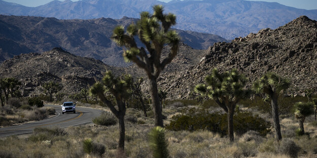 Eine Straße in der Mojave-Wüste Eine Straße in der Mojave-Wüste