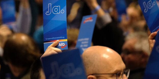 Stimmkarten werden beim Landesparteitag der sächsischen AfD in die Höhe gehalten Stimmkarten werden beim Landesparteitag der sächsischen AfD in die Höhe gehalten