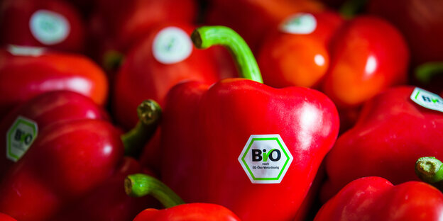 Rote Paprikaschoten mit Bio-Siegel liegen auf einem Haufen. Rote Paprikaschoten mit Bio-Siegel liegen auf einem Haufen.
