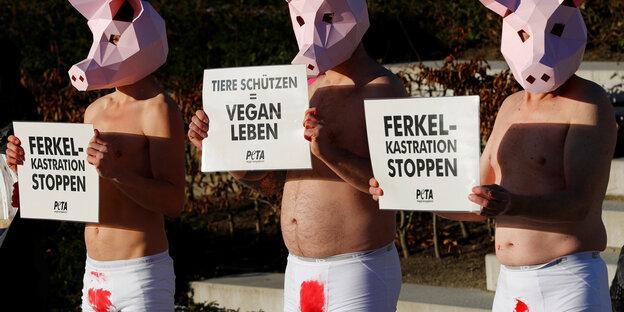 peta aktivisten demonstrieren gegen kastration von ferkeln mit schildern und in blutigen unterhosen und schweinemasken auf dem kopf peta aktivisten demonstrieren gegen kastration von ferkeln mit schildern und in blutigen unterhosen und schweinemasken auf dem kopf