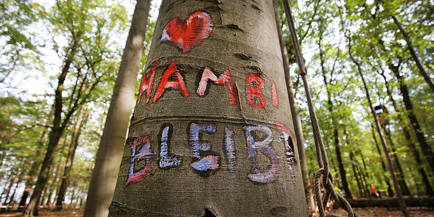 Ein Baum mit Inschrift im Hambacher Wald