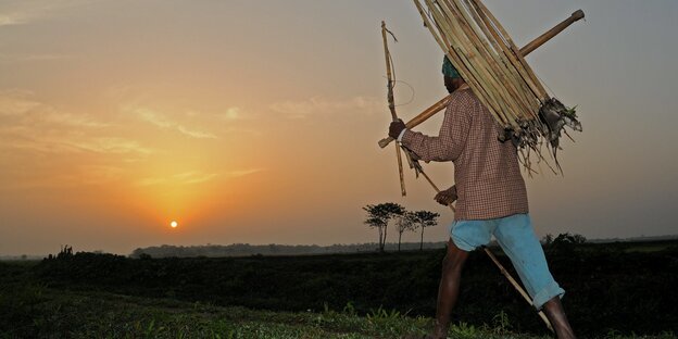 Ein Rattenjäger im Bundesstaat Assam geht mit seinen Werkzeugen im Sonnenuntergang nachhause