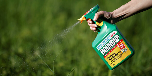 Eine Hand spritzt Monsantos Roundup auf eine Pflanze