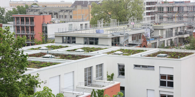 Begrünte Flachdächer in der Berliner Innenstadt nahe des Viktoriaparks in Kreuzberg.