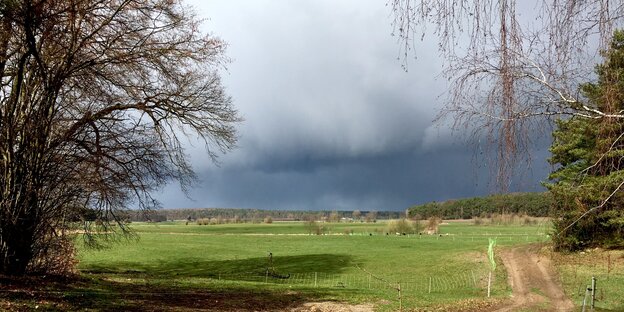 Wiesen und Wald beim Zempow, einem Dorf in Brandenburg Wiesen und Wald beim Zempow, einem Dorf in Brandenburg