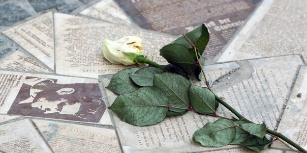 Eine weiße Rose liegt auf steinerner Nachbildung von Flugblättern und Akten Eine weiße Rose liegt auf steinerner Nachbildung von Flugblättern und Akten