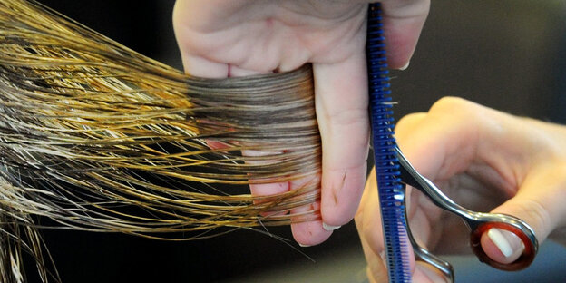 Nasse blonde Haare werden geschnitten Nasse blonde Haare werden geschnitten