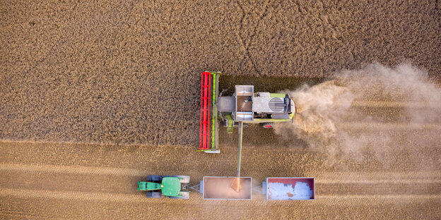 Eine Drohnenaufnahme zeigt, wie ein Getreidefeld mit schweren Maschinen bearbeitet wird.