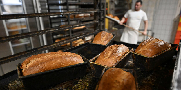 Ein Bäcker holt Brote aus dem Ofen