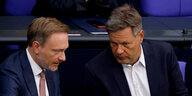 Christian Lindner und Robert Habeck sitzen nebeneinander im Plenum des Deutschen Bundestages und unterhalten sich