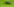 Eine Stechfliege sitzt auf einem grünem Blatt