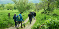 Wanderer laufen durch ein Naturschutzgebiet mit Pflanzen und Bäumen