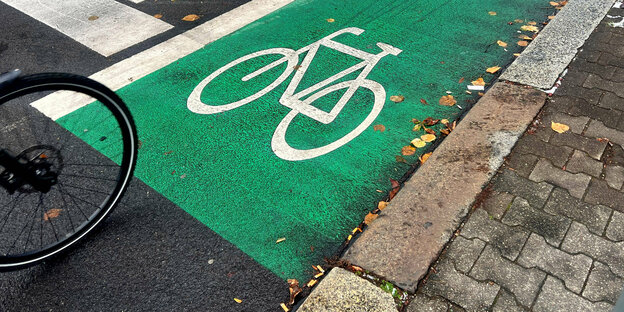 Ein Farrad auf einem grünen Radweg.