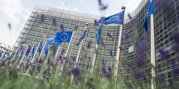 Flaggen vor der EU-Kommission in Brüssel. Flaggen vor der EU-Kommission in Brüssel.