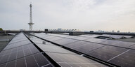 Solarpanels auf den Dächern des Messegebäudes, im Hintergund der Funkturm.
