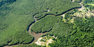 Fluss im Amazonasgebiet von oben