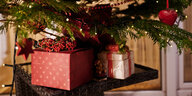 Zwei Geschenke stehen unter einem Weihnachtsbaum in einem Wintergarten.