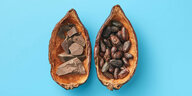 Eine halbierte, ausgehöhlte Kakaofrucht. In der einen Hälfte liegen Schokoladenstücke, in der anderen Hälfte liegen Kakaobohnen.