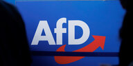 Das Foto zeigt das Parteikürzel AfD und zwei Schatten am linkne und rechten Bildrand