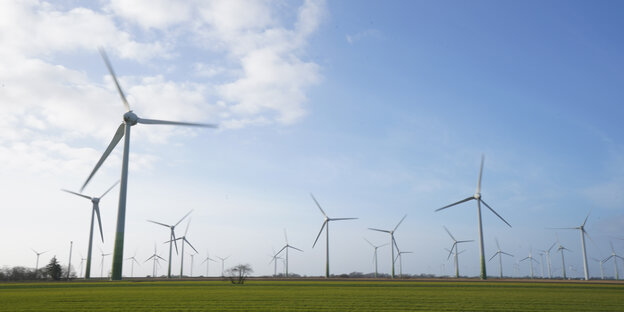 Windenergieanlagen stehen auf einer Weide.