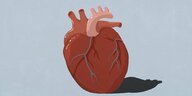 Illustration eines menschlichen Herzen