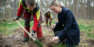 Umweltsenatorin Im Köpenicker Stadtforst kniet Manja Schreiner (CDU), sie hat am Mittwoch zusammen mit Azubis der Berliner Forsten eine Traubeneiche gepflanzt