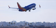 Ein buntes Flugzeug mit der Aufschrift "southwest" hebt über einem Flughafen und Palmen ab