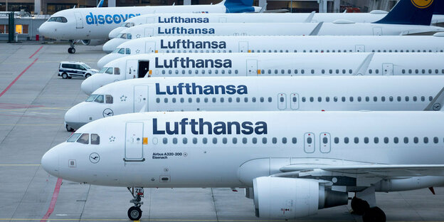 Meer Lufthansamaschinen stehen auf dem Rollfeld.