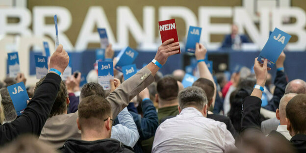 De deelstaatdeelnemers van de AfD Brandenburg stoppen met het opnemen van hun stimuleringskaarten.