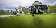 Ein Mann mit Taucherbrille, sein Kopf schaut halb aus grünen Wasser heraus