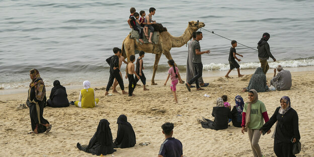 Ein Kamel am Strand in Gaza
