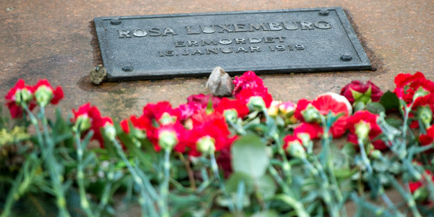 Ein Gedenkstein für Rosa Luxemburg, davor rote Nelken
