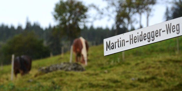 Ein Schild „Martin-Heidegger-Weg" ragt auf eine Kuhweide Ein Schild „Martin-Heidegger-Weg" ragt auf eine Kuhweide